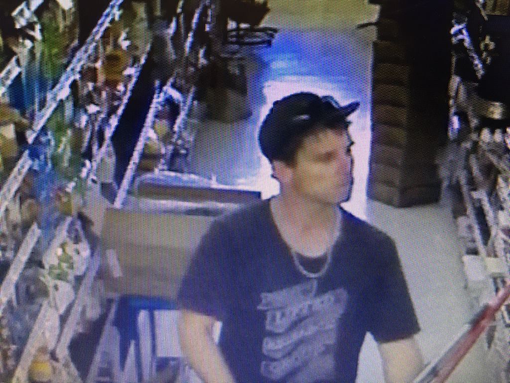 Vehicle Burglary Suspect